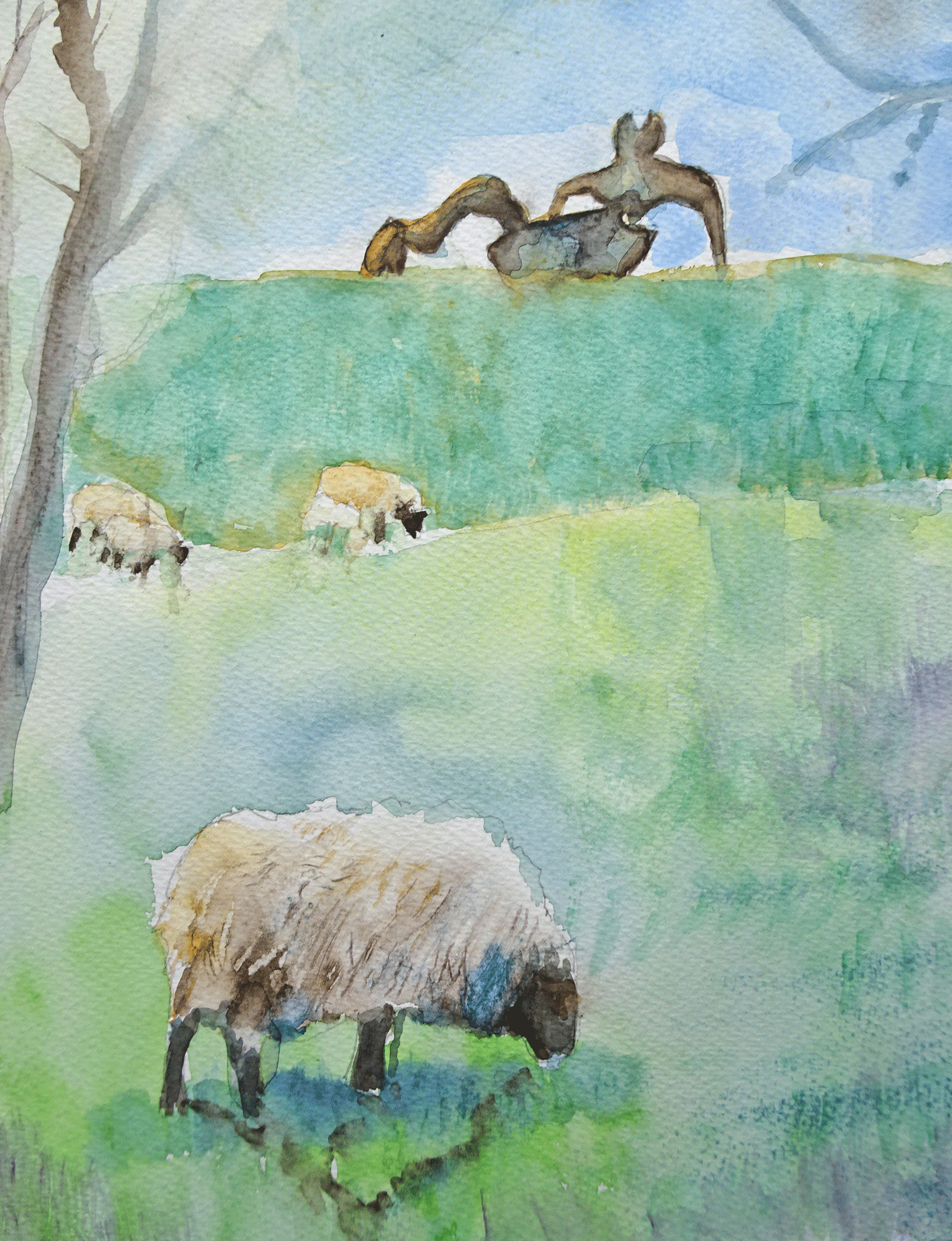A-henry-Moore-view,-sheep-m